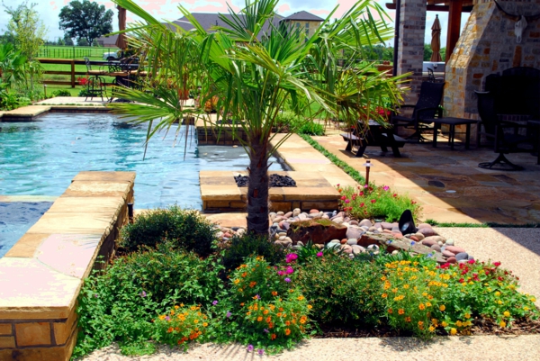градина-басейн-екзотичен-природа-околната среда-великолепен дизайн