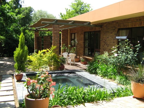 градина-басейн-екзотичен-изглежда-на-къща - със зелени растения