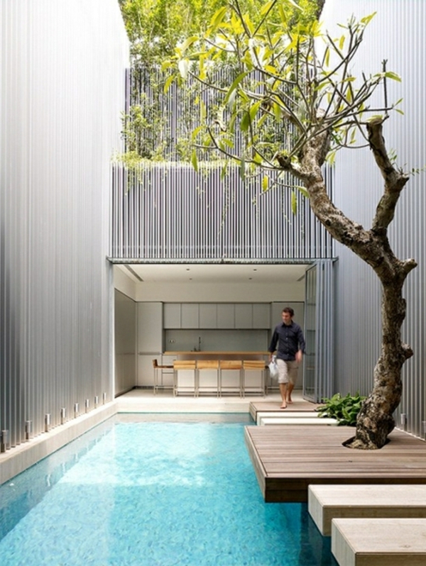 jardín-piscina-moderno-hermosa-archirektur-árbol-by-the-piscina