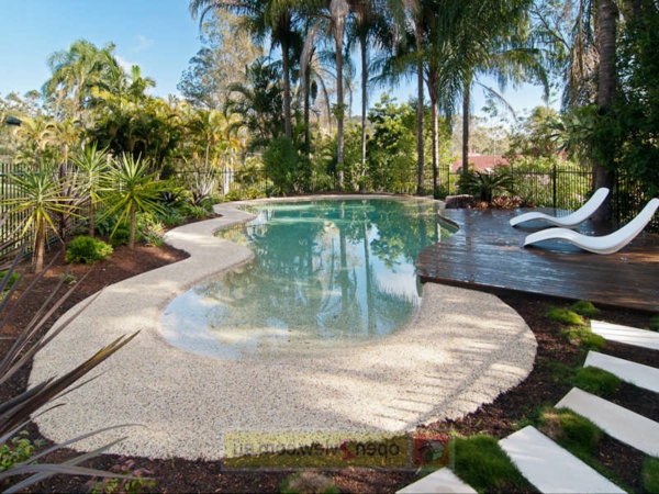 花园游泳池伟大的设计