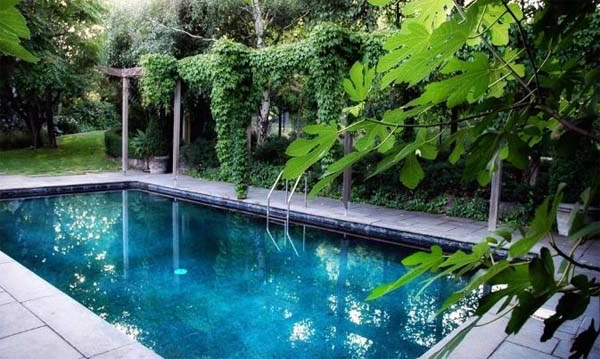 vrtni bazen okružen zelenim biljkama - izgledati egzotično