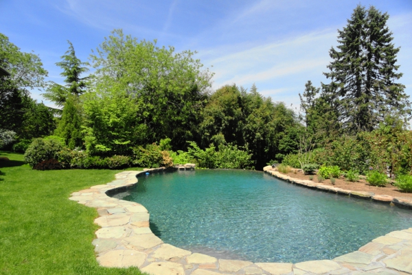garden-pool-beautiful-shape - muchas plantas verdes