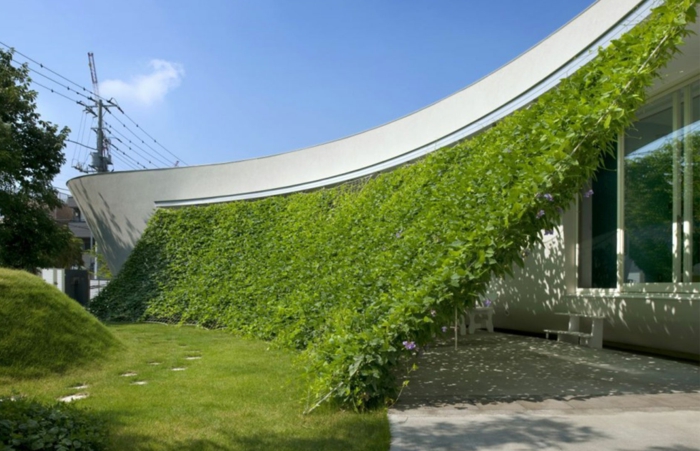 حديقة تجميل-الإبداعية الحديثة الهندسة المعمارية