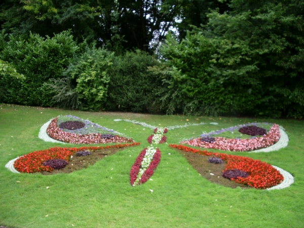 A virágok design kreatív kerttervezés-butterfly-