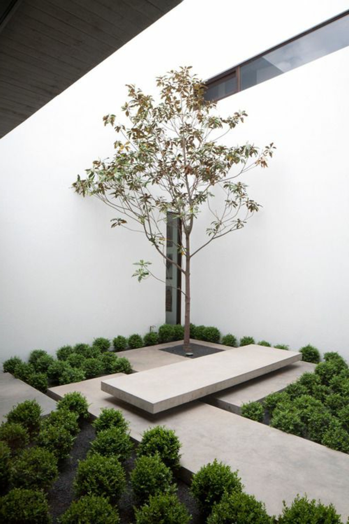 самотно дърво, засадено в минималистична градина, обградена с много зелени храсти