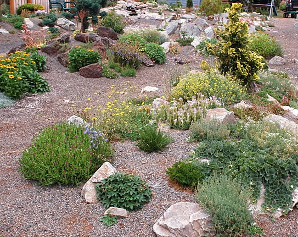 patio de la casa con piedras y plantas verdes