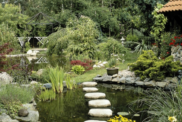 egzotikus kert tervezési ötletek-álom-kerti medence