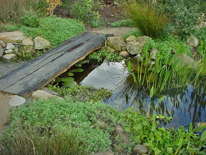 Gartenteich-create-kerti tavak létrehozni