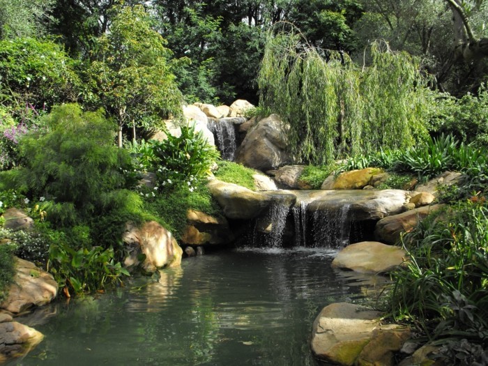 Създаване на градинско езерце-е-тук-нещо-инвестира до тематични мини-градина pond-