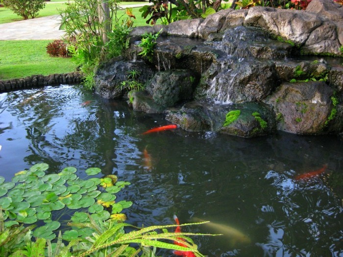 Gartenteich-Add New-Idea-temática a Pond-mini-jardín