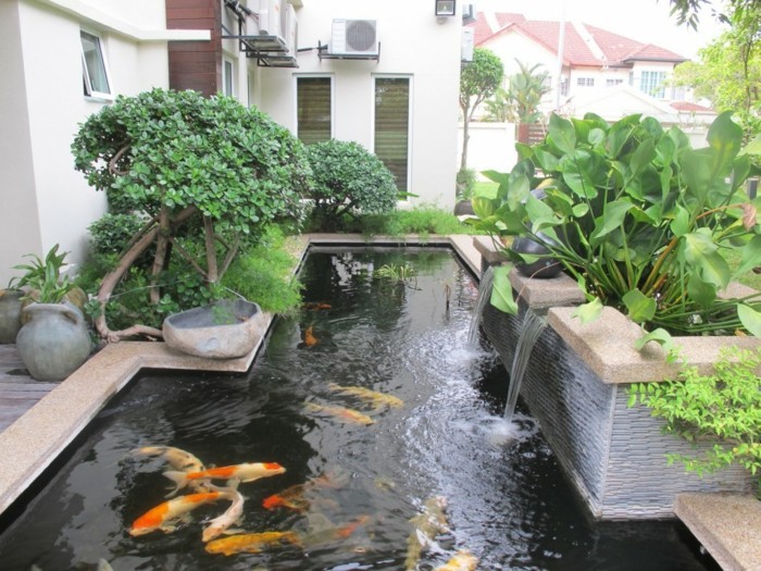 Gartenteich-crear-todo el mundo podría-a-pequeño estanque de jardín a crear