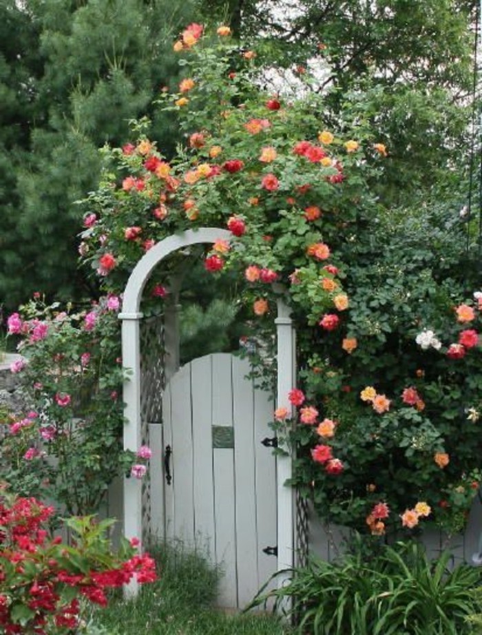 gartentor кръгла арка лице защита-рози