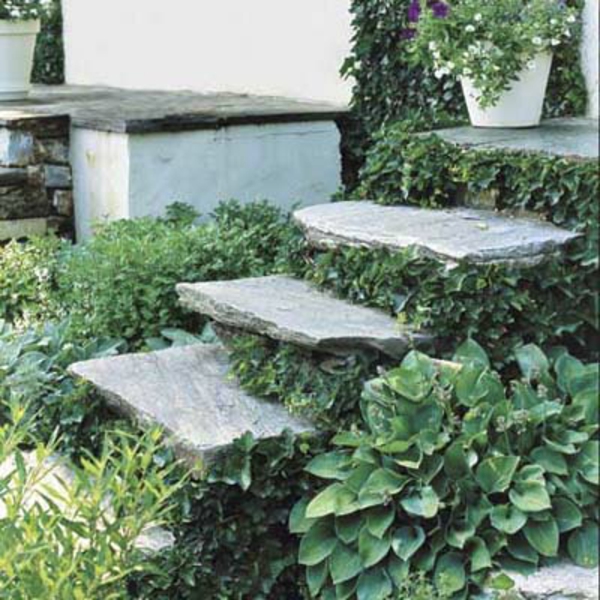 градина-стълби-самостоятелно изграждане-зелена среда-красива снимка