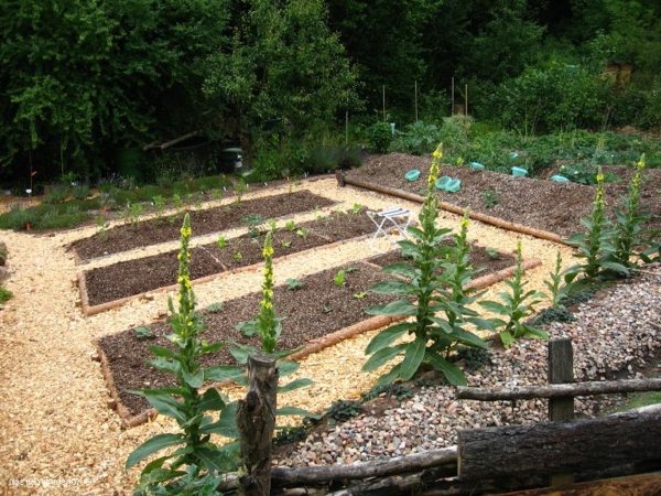 зеленчукова градина (2)