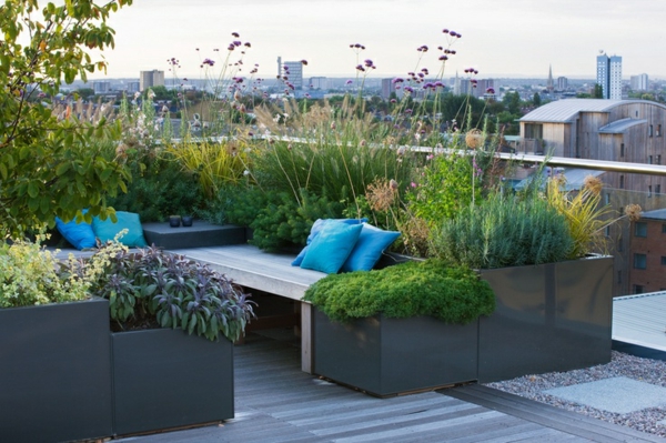 уютна градина представа за най-вътрешен двор-дизайн