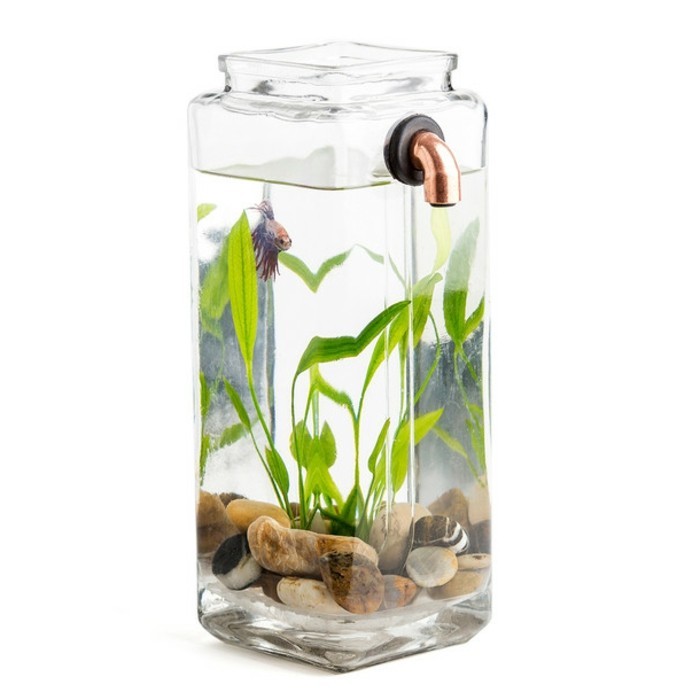дизайнерски идеи-за-аквариум аквариум-деко-с-камъни-водни растения-малък аквариум