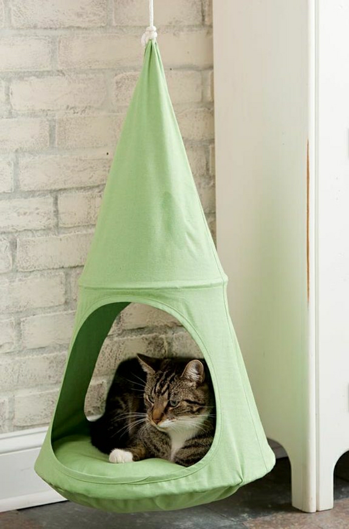 Zelena viseća Viseći Vikendica Mačka