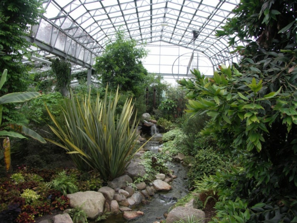 zeleno-egzotične-postrojenja-u-zimski vrt