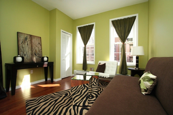 μοντέρνο σαλόνι με σχέδιο πράσινου τοίχου και ενδιαφέροντα χαλί