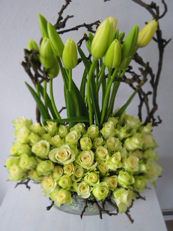 zeleno-zanimljivo-glume-Francuski-tulipani