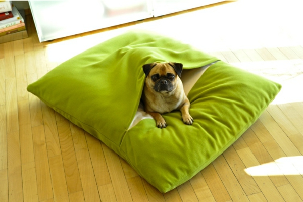 almohada de perro verde ortopédica - raza de perro lindo