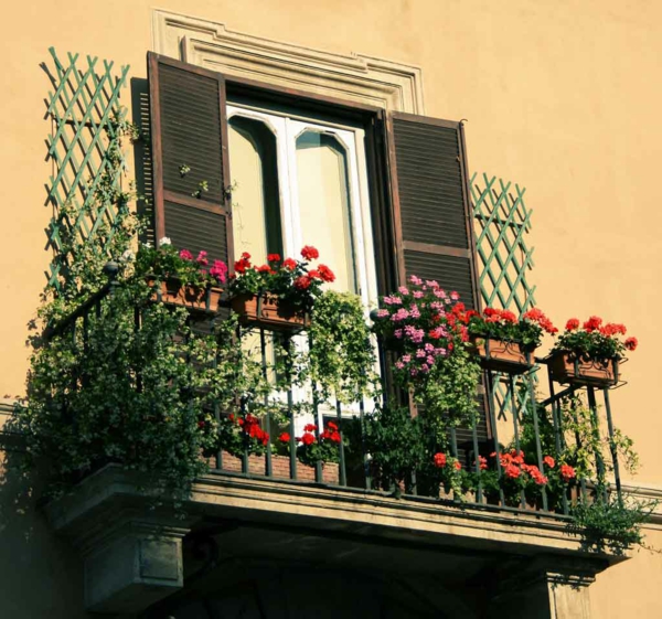 colgando-balkonpflanzen-cool-balcón-flor