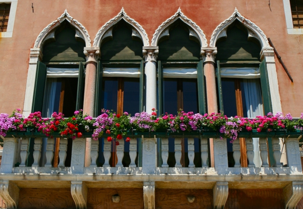 colgando-balkonpflanzen-Venecia-gótico
