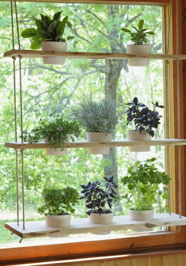 suspendus-cintre-plantes d'intérieur