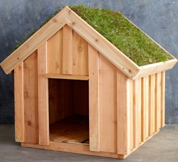 Caseta de madera para perros en sí y construcción