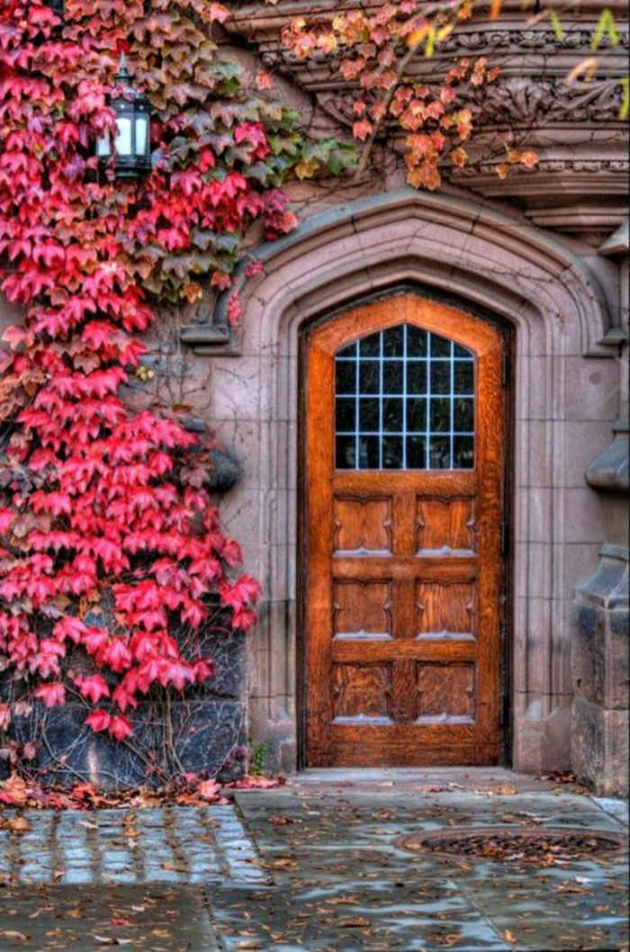 fa ajtó-rózsaszín levelek régi épület arisztokratikus