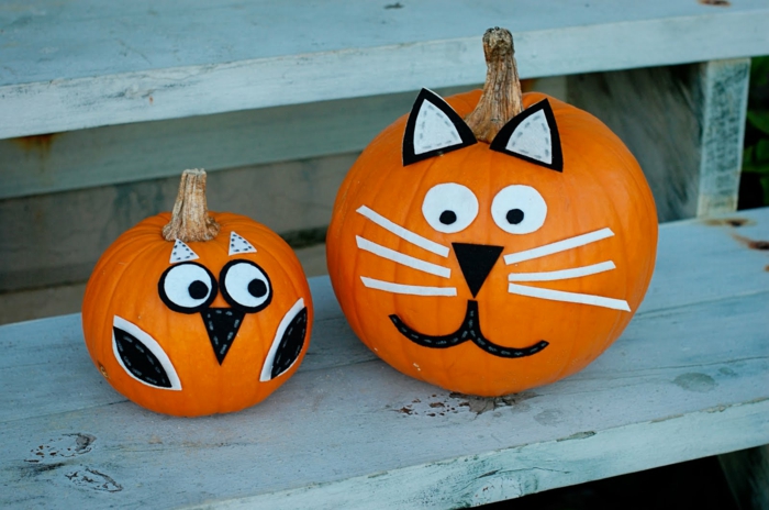 Pumpkin kasvot, kissa ja kotka pöllö tehty kurpitsa, DIY ideoita lapsille ja aikuisille