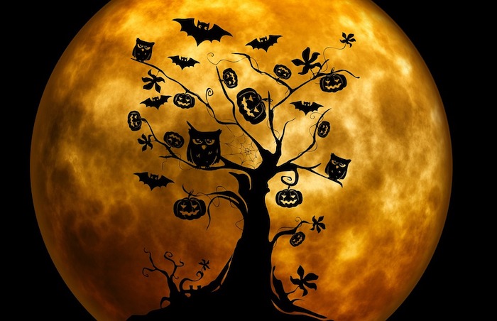 egy halloween fát baglyokkal, sütőtök és denevérek telihold a háttérben