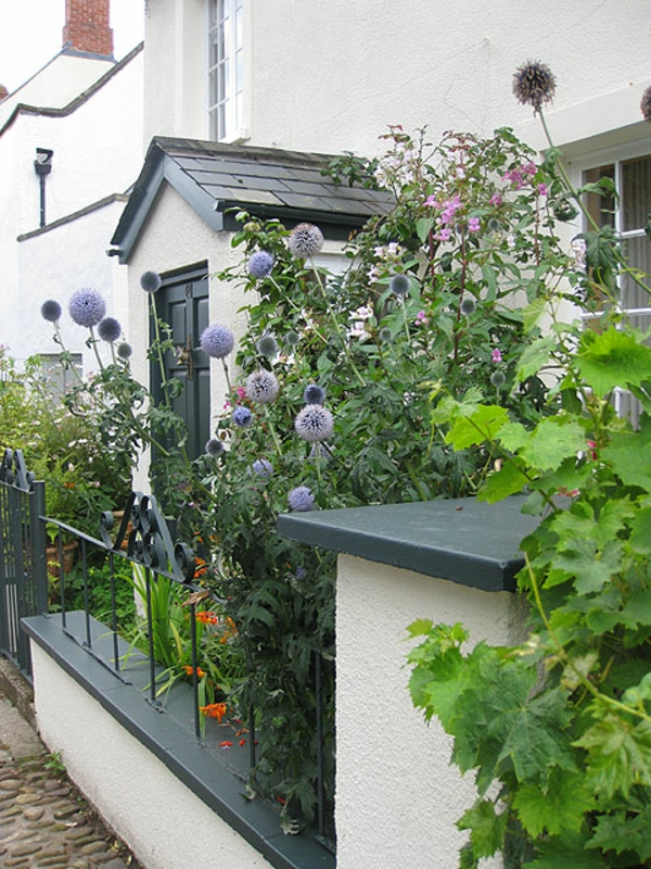 σπίτι-με-ένα-μικρό κήπο-κήπο με μοβ λουλούδια