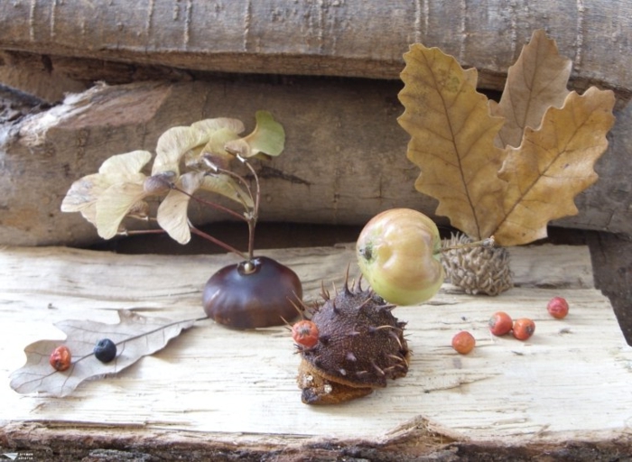 Hojas de otoño Tinker-con-niños-castaños y manzana