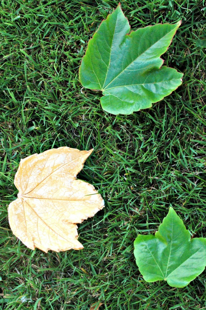 Haz hojas de arcilla, idea de bricolaje para niños y adultos, simple y efectiva