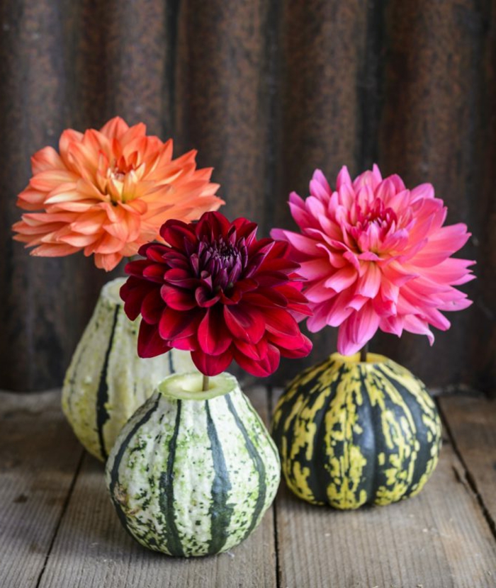 Vázák és sütőtök készítsd el magad, gyönyörű krizantémok három árnyalatban, az otthoni ősszel