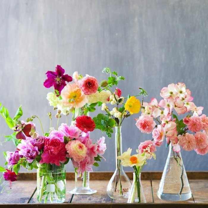الأواني رائع من أشكال الزهور الزجاج مختلفة من الزجاج والمزهريات ديكو