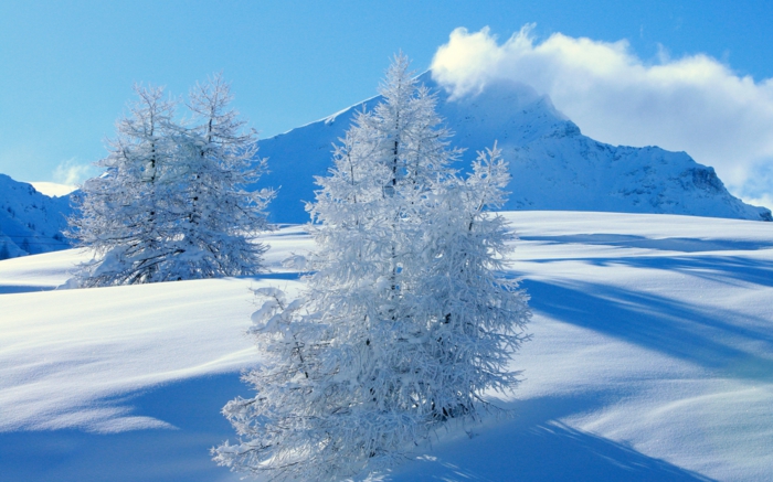 plava fotografija - snijeg planine - lijepa slika