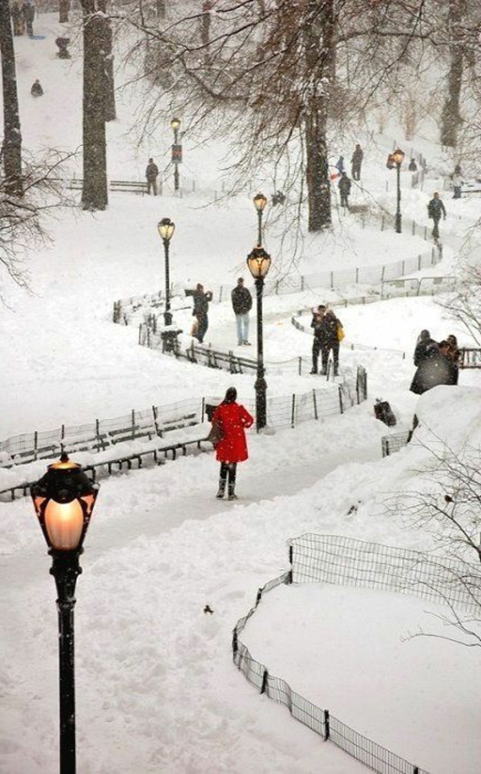 prekrasan zimski zaslona walk-in snijeg