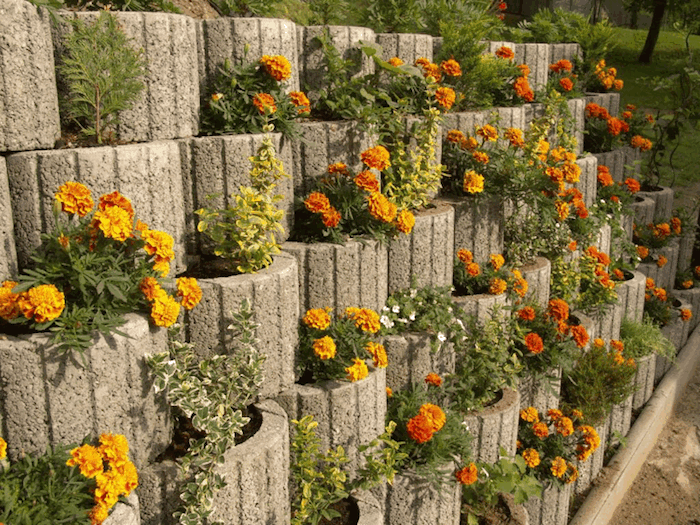 Eche un vistazo a esta idea para el diseño de jardines: aquí encontrará pequeñas piedras de plantas con flores pequeñas de color naranja.