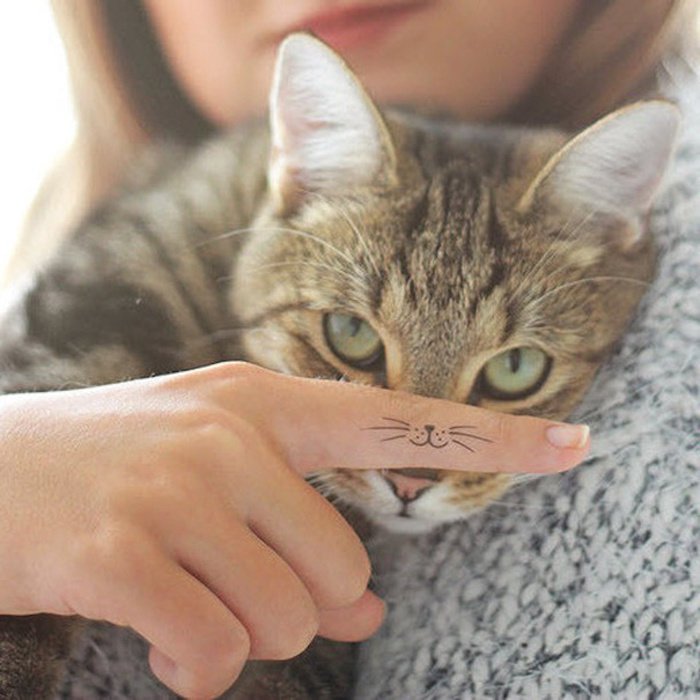 Ovdje je još jedna siva mačka s zelenim očima i ruku s prstom s tetovažom mačke