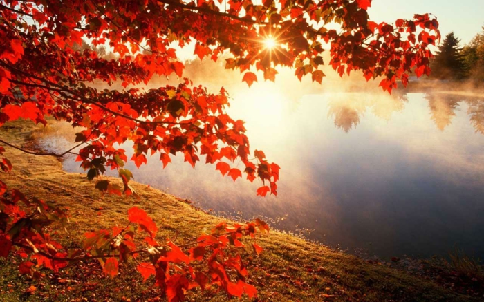 pozadine za-jesen-kul Red Leaves