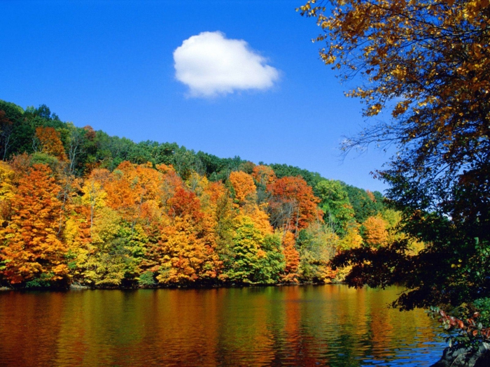 pozadine za-jesen-zanimljivo boje boje