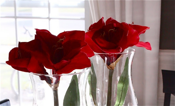 décoration de mariage roses rouges dans des tasses et derrière - rideaux blancs