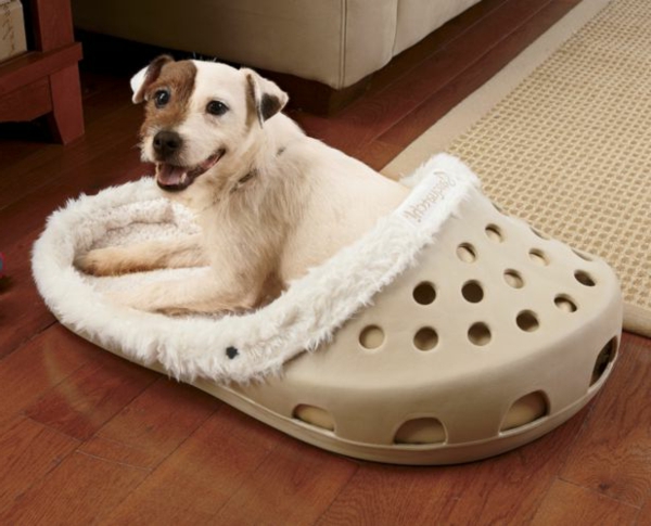 dog-bed-orthopedic-in-the-form-of-a-shoe - linda raza de perro
