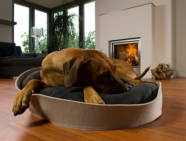 cama de perro ortopédica junto a la chimenea - perro que se ve lindo