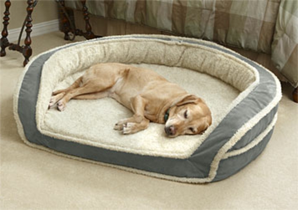 cama de perro xxl-comfort-for-the-dog - raza de perro grande
