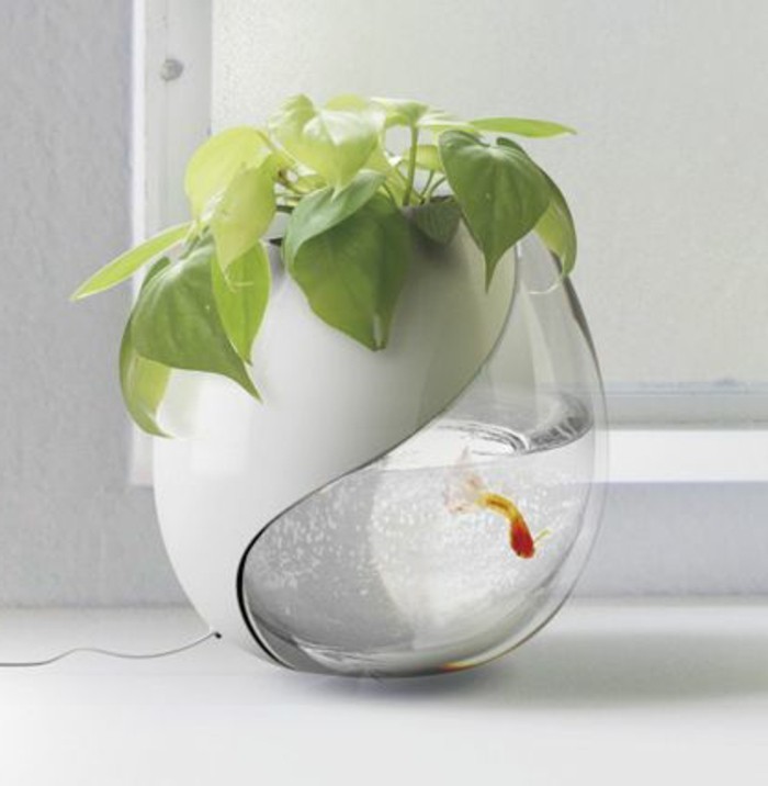 Идеи за аквариум-дизайн-малък аквариум рибки растителен аквариум деко