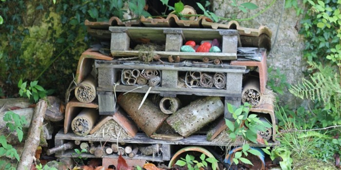 rovar szálloda saját-build-a-rovar szálloda saját-build-and-the-környezetvédelem-help