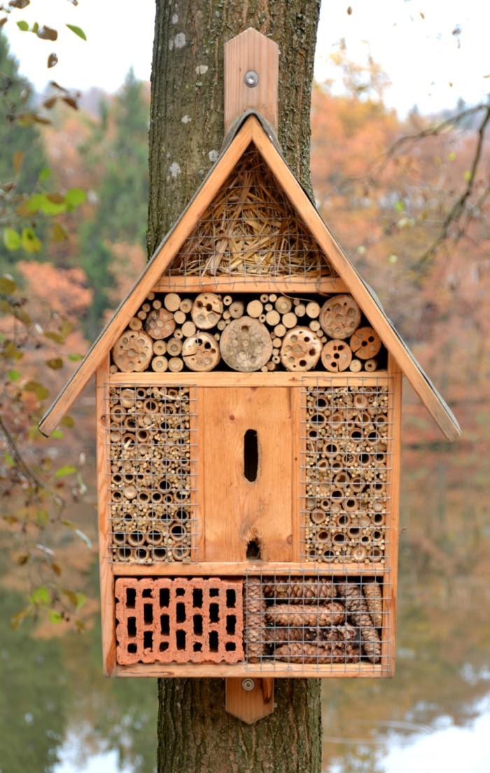 rovar szálloda saját-build-rovar szálloda saját-build-and-a-természet-help